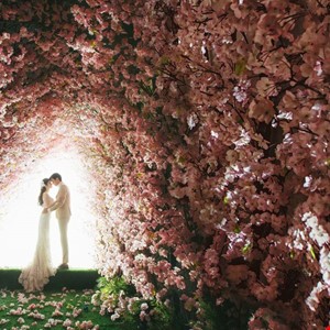 Elegant & High Quality Portraits