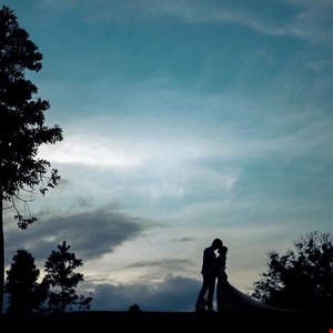 Evening Silhouettes