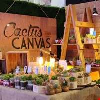 Exhibit Photos of Cactus and Canvas