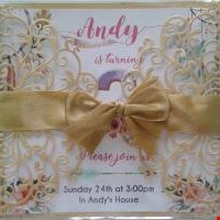 Gatefold Cover Finish