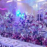 Vip Arrangement